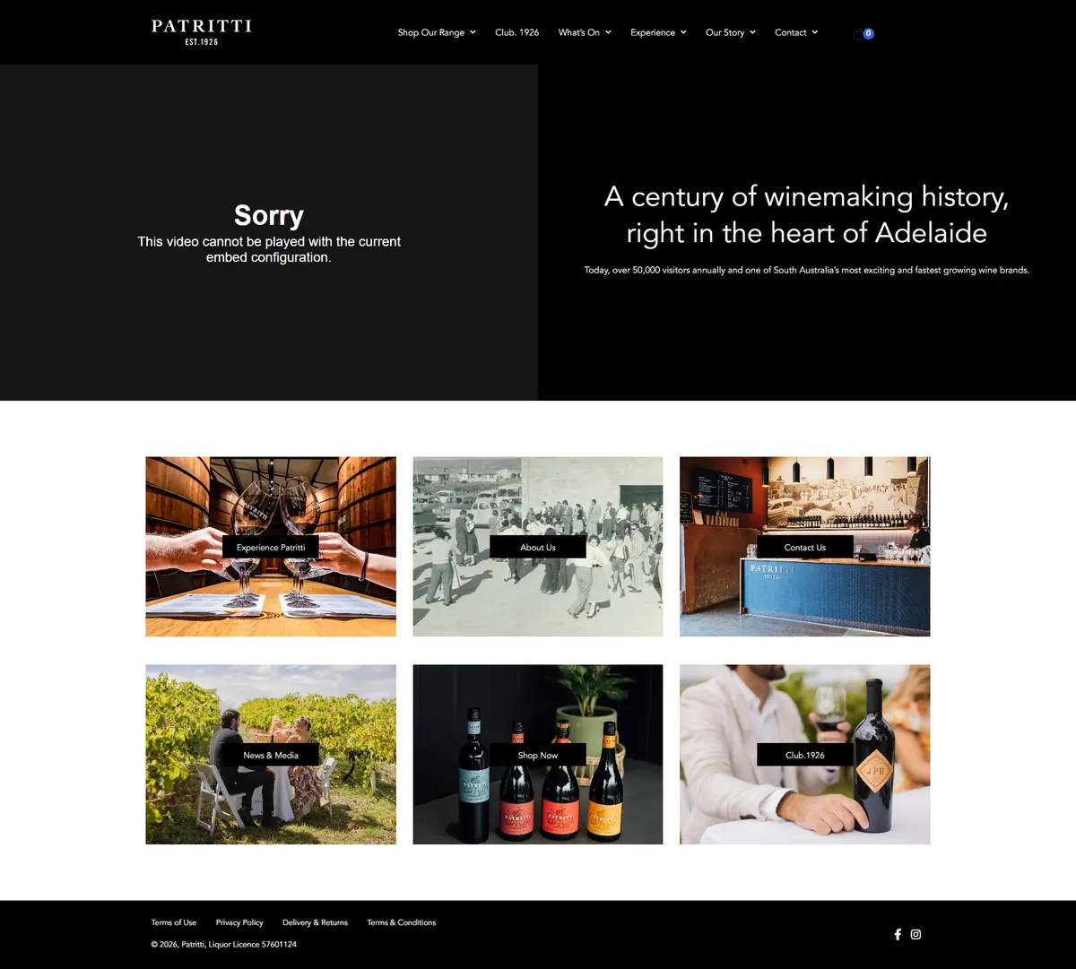 Patritti website before the rebuild