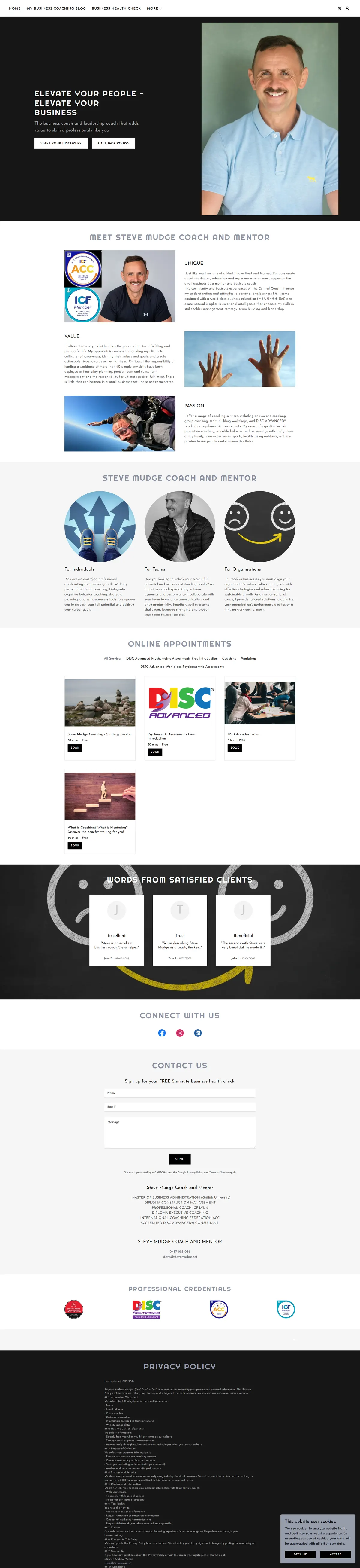 Steve Mudge Advisory website before the rebuild
